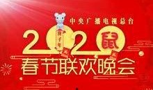 春晚最新爆料节目,精彩节目抢先看，年度盛宴即将开启！