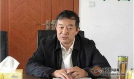 刘华爆料茶叶事件视频全集,视频全集深度解析